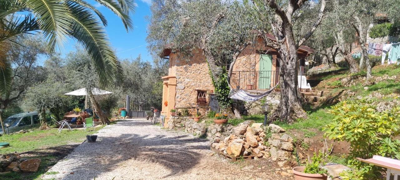 La Merla Del Tasso Camaiore Exterior foto